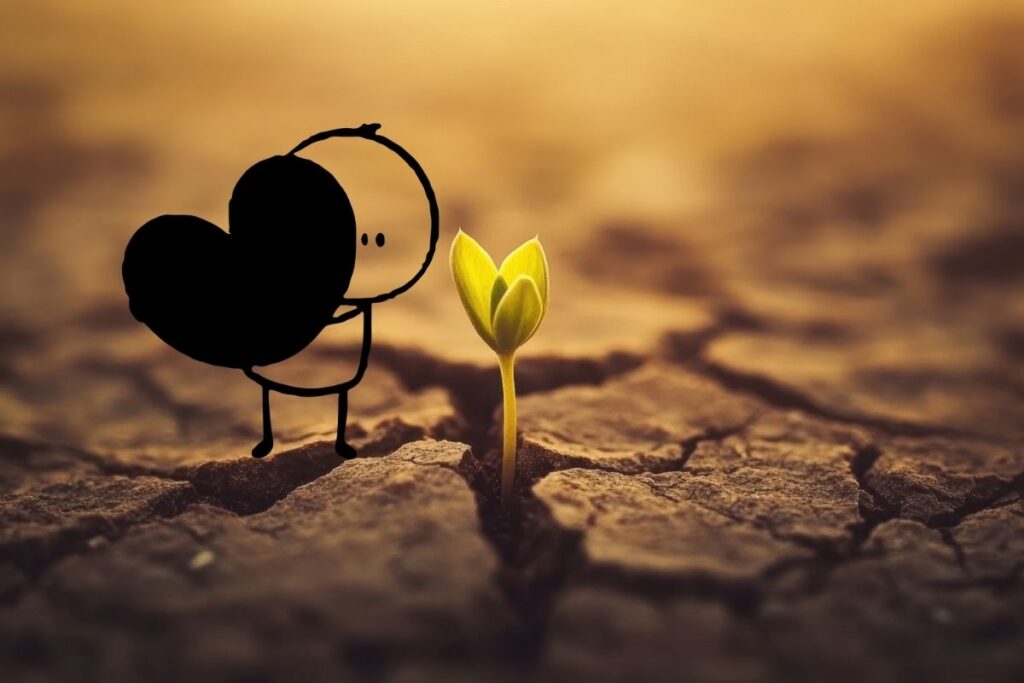 Jahresrückblick 2025 - Wir waren leise, aber dennoch standen wir nicht still