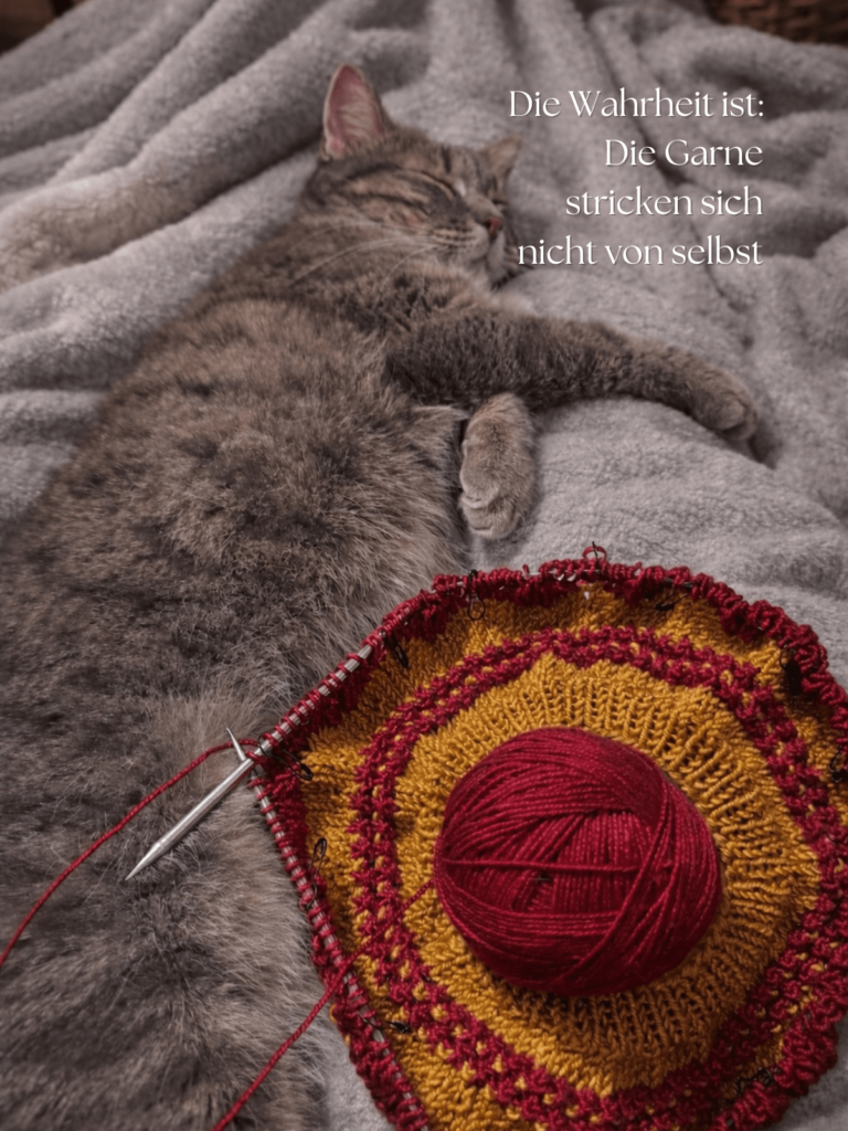 Katze neben begonnenem Strickprojekt mit roter Wolle und Stricknadeln in gemütlicher Atmosphäre