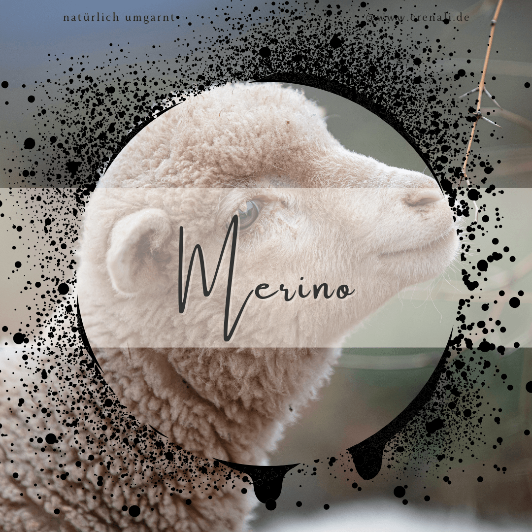 Button Merino & Merino-Seide