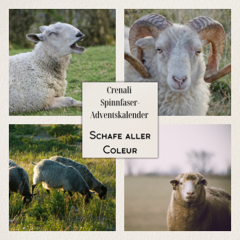 Spinnfaser-Adventskalender | Schafe aller Couleur | Vorbestellung