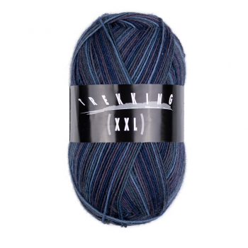 Trekking 4-fach 731 | 100g
