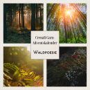 Adventskalender | handgefärbte Garne | Waldpoesie